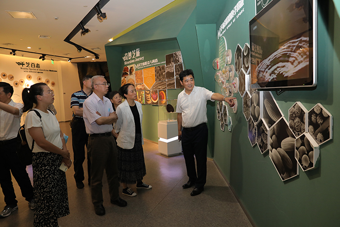 專(zhuān)題報(bào)道