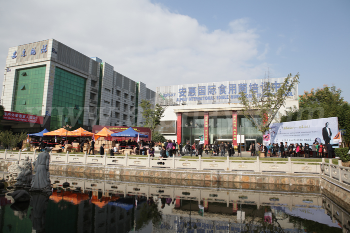 圖片關鍵詞 圖片關鍵詞