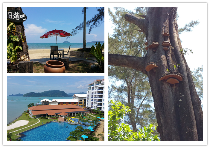 圖片關(guān)鍵詞 圖片關(guān)鍵詞