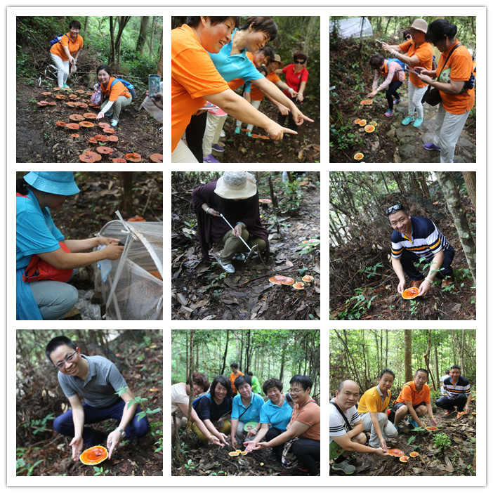 圖片關(guān)鍵詞 圖片關(guān)鍵詞