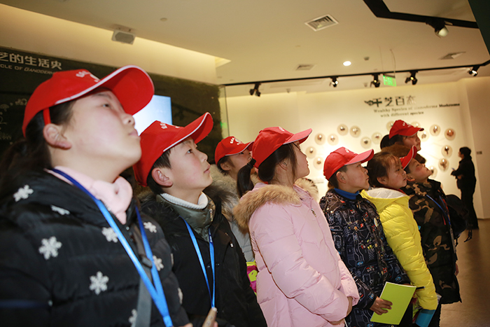 圖片關鍵詞 圖片關鍵詞