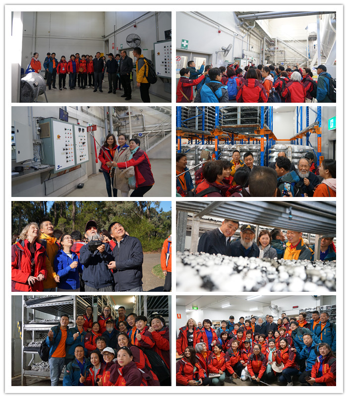 圖片關鍵詞 圖片關鍵詞