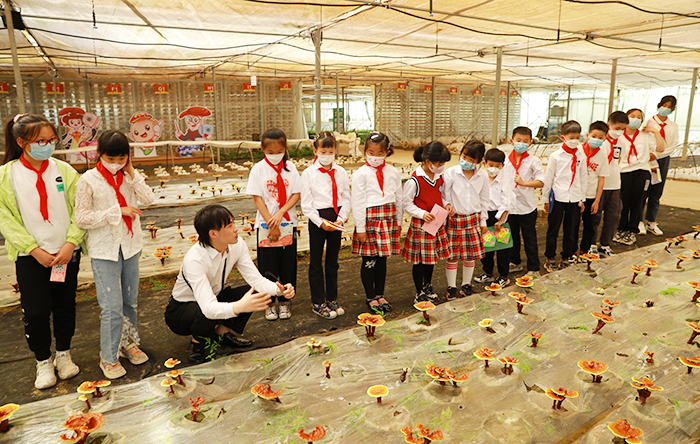 圖片關鍵詞 圖片關鍵詞