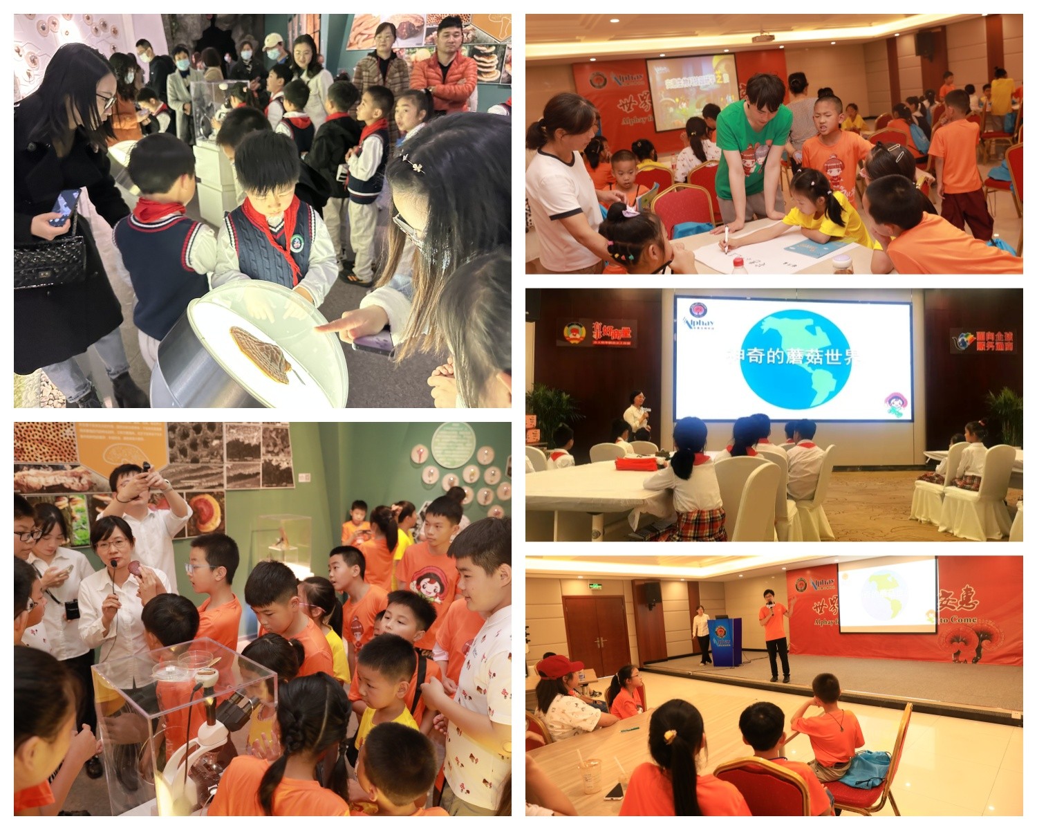 圖片關鍵詞 圖片關鍵詞