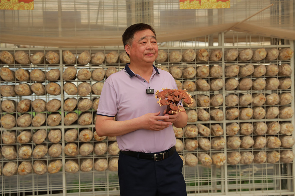 圖片關鍵詞 圖片關鍵詞