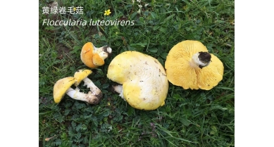 行業動態