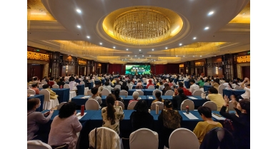 專(zhuān)題報(bào)道